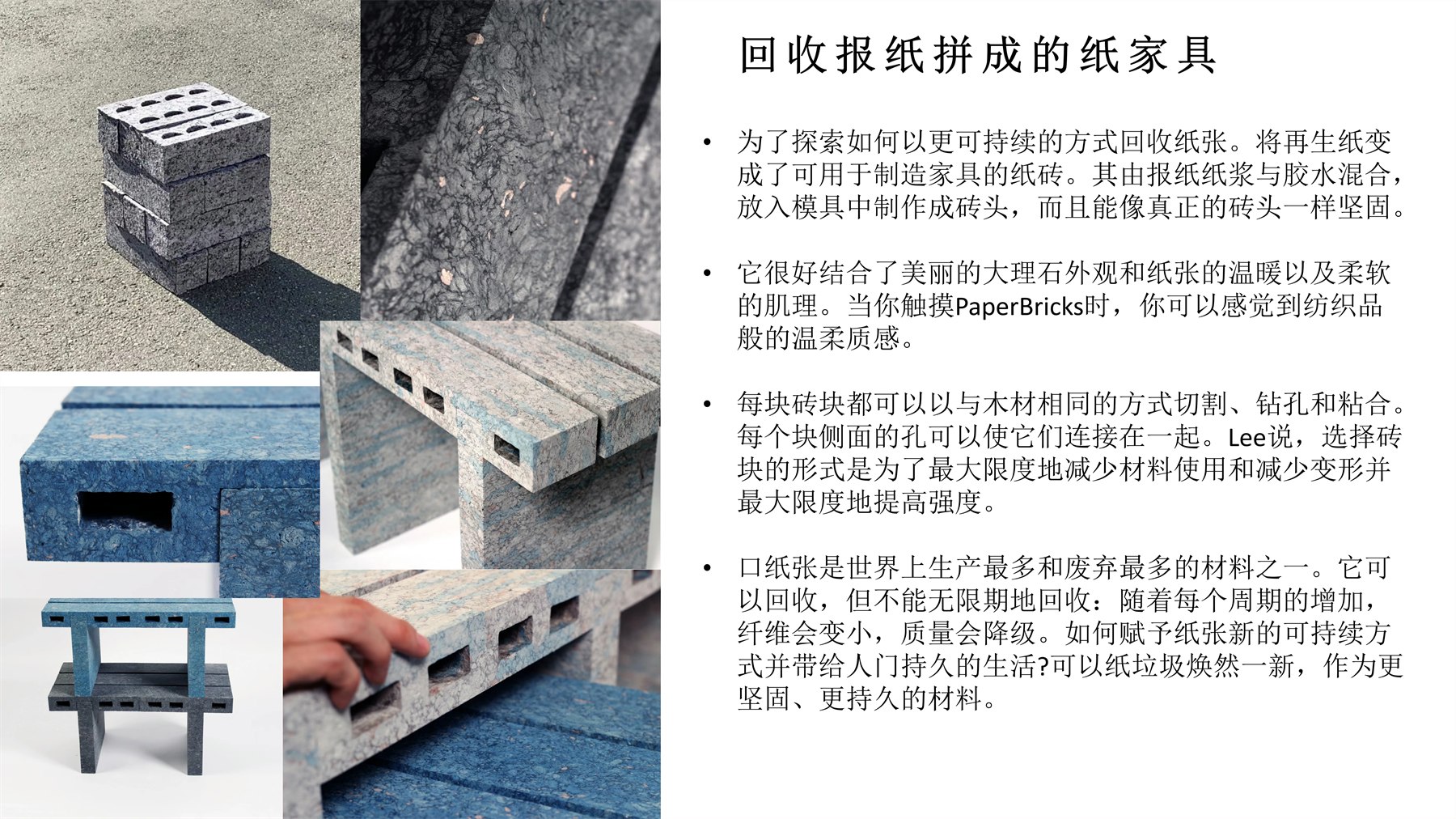 Pet Training Products 项目图 10