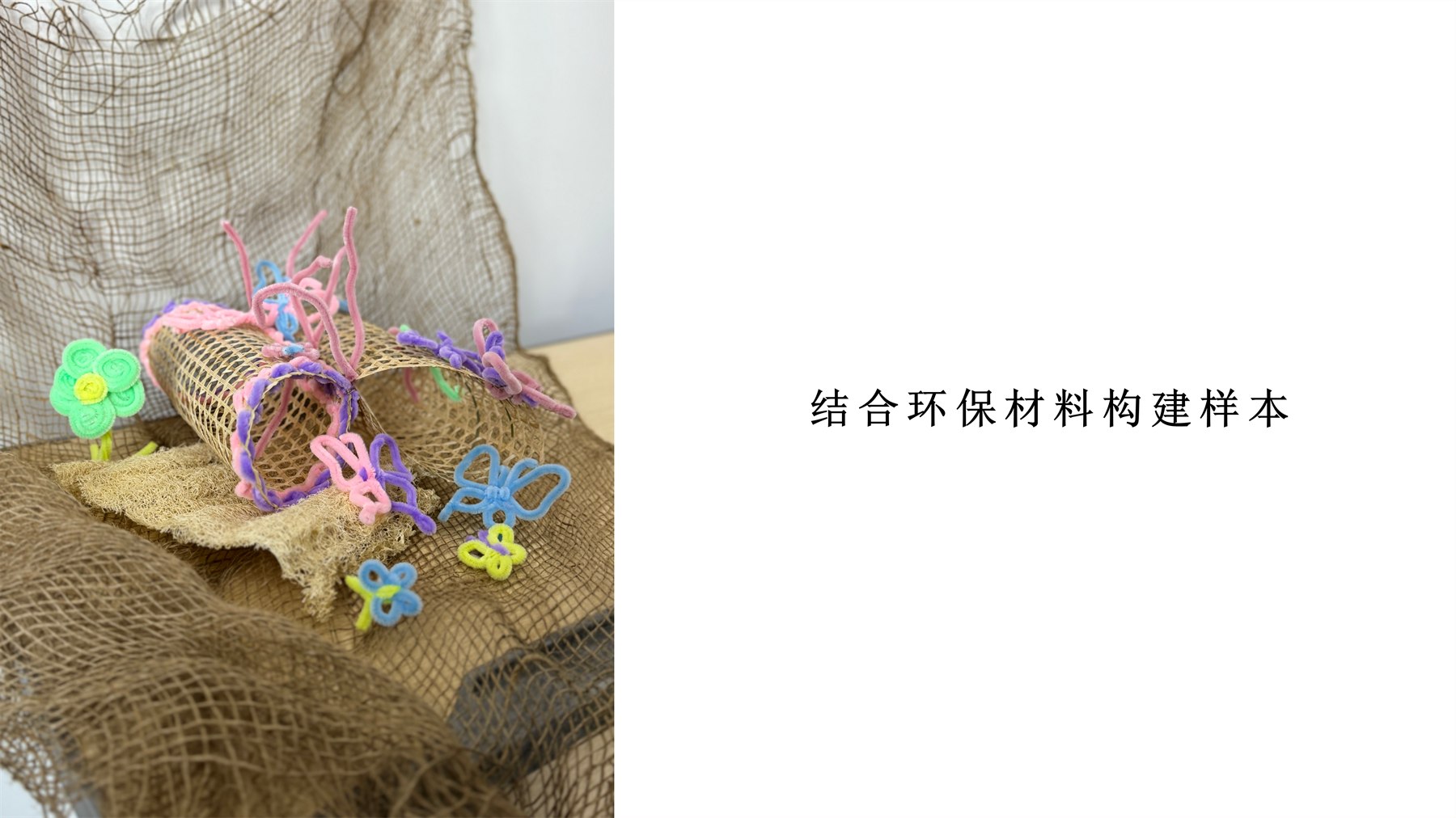 Pet Training Products 项目图 12